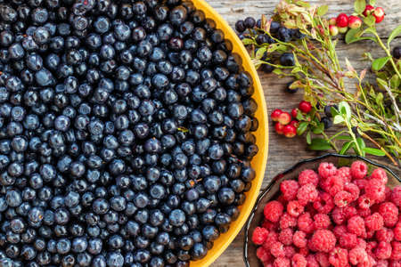 Rustic blueberries, raspberries and lingonberry twigs. Healthy food background. Fresh wild berries...