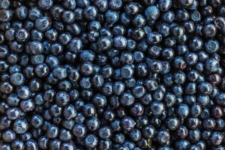Food background of blueberries. Vegetarian healthy food. Healthy fresh nutrition. Forest bilberry. Fresh summer wild berries closeup.の写真素材