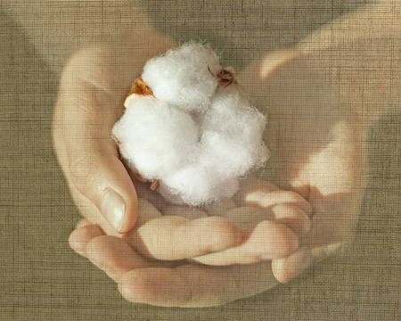 cotton 1oo percent creative conceptの写真素材