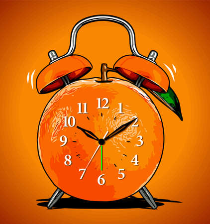 orange fruit shaped alarm clockのイラスト素材