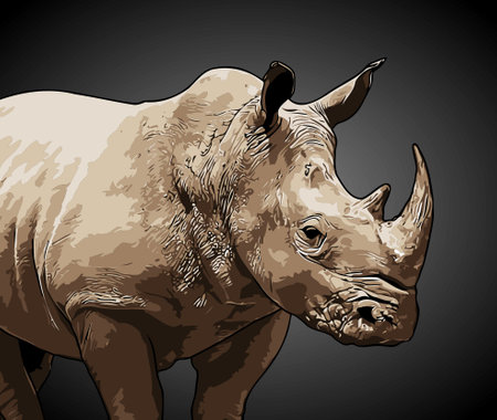 two-horned rhino vector templateのイラスト素材