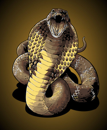 gaping cobra front view vector templateのイラスト素材