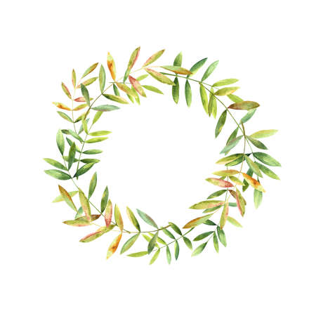 A composition of green leaves, hand-painted in watercolor.の写真素材