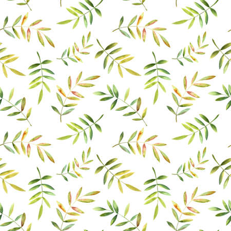 A simple seamless pattern of watercolor leaves on a white background.の写真素材