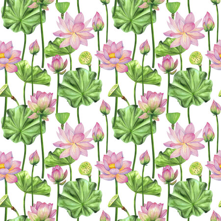 Seamless pattern with pink lotus flowers and leaves. Painted in watercolor.の写真素材