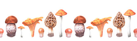 Seamless pattern border banner autumn with wild mushrooms.