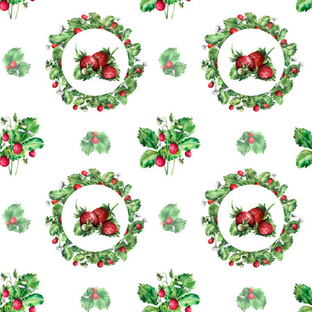 Red wild strawberry on a white background. Seamless pattern, watercolor illustration. For fabric and textile design, wallpaper and moreの写真素材