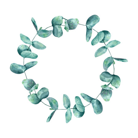 Eucalyptus branches, wreath, round frame. Hand drawn watercolor isolated botanical illustration. For design, decor, typography and printing, souvenirsの写真素材