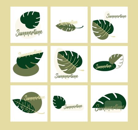 Flat design vector set of exotic leaves. Closeup. The beautiful leaves of Monstera and fern - summer time botany style.のイラスト素材