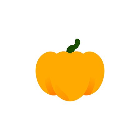 Orange pumpkin closeup vector isolated icon. Thanksgiving Symbol and Halloween. Autumn Pumpkin Harvestのイラスト素材