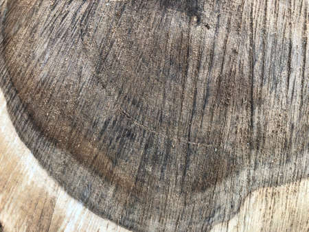saw cut wood background. Beautiful wood texture close-up.の写真素材