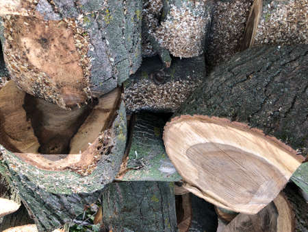 A woodpile made of chopped lumber. A pile of wooden walnut logs. Wood texture