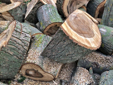 abstract wood log background close-up