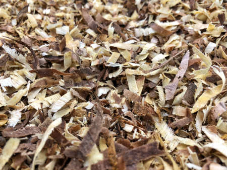 wood shavings background, wood texture close-up. wood walnutの写真素材