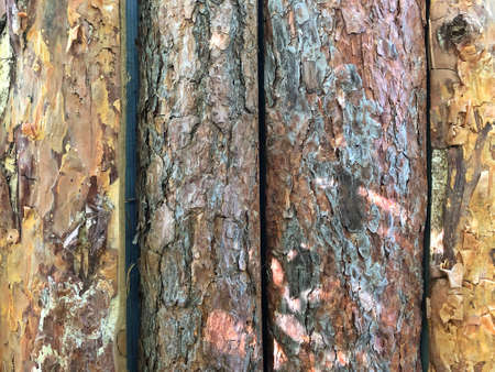 Wood background vintage wall texture. wooden planks background, texture. Old wooden beamsの写真素材