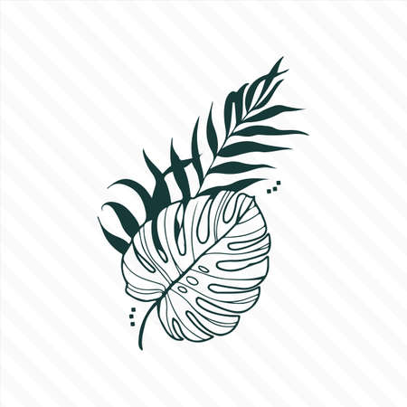 Hand drawn branches and leaves of tropical plants. Pのイラスト素材