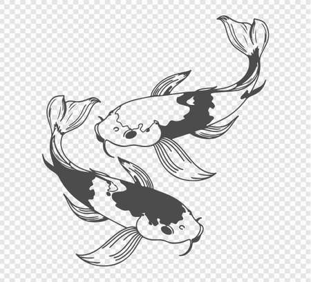carp sketch on transparent background. Freehand japanese carp tattoo, vector illustrationのイラスト素材