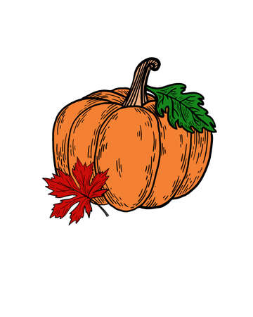 Fall sublimation, Watercolor thanksgiving pastel pumpkin leaf clipart,の写真素材