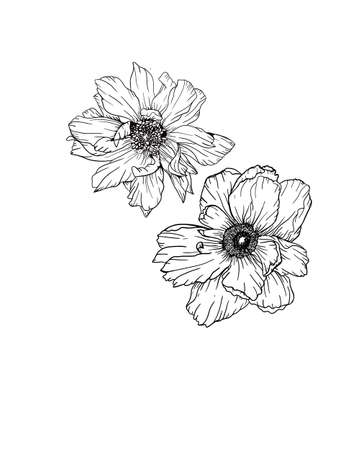 Elegant seamless anemone pattern with flowers, design elements. Floral pattern for invitations, cards, print, gift wrap, manufacturing, textile, fabric, wallpapersの写真素材