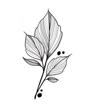 botany tattoo sketch - beautiful twig plant. Botanical element template for graphic design, wedding decor, textiles, souvenir gift, stationery printの写真素材