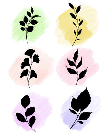 beautiful watercolor plant set .Beautiful hand made flower herb rope illustration with watercolor . Botanical element for design, wedding decor, textiles, stationery printの写真素材