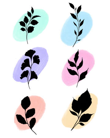 beautiful watercolor plant set .Beautiful hand made flower herb rope illustration with watercolor . Botanical element for design, wedding decor, textiles, stationery printの写真素材