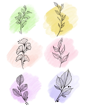 beautiful watercolor plant set .Beautiful hand made flower herb rope illustration with watercolor . Botanical element for design, wedding decor, textiles, stationery printの写真素材