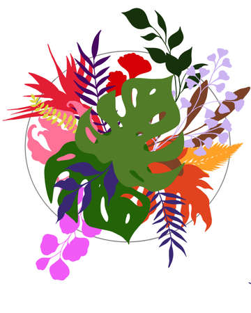 tropical and exotic plants and leaves - design frame templateの写真素材