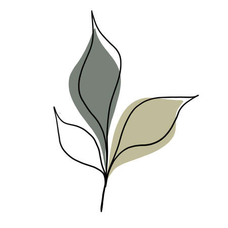 Minimalistic line drawing. leaf line art. Botanical drawing illustration by hand. beautiful idea for a postcard, a postcard. for home decor such as posters, wall artの写真素材