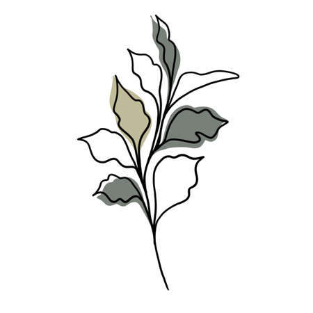 Minimalistic line drawing. leaf line art. Botanical drawing illustration by hand. beautiful idea for a postcard, a postcard. for home decor such as posters, wall artの写真素材