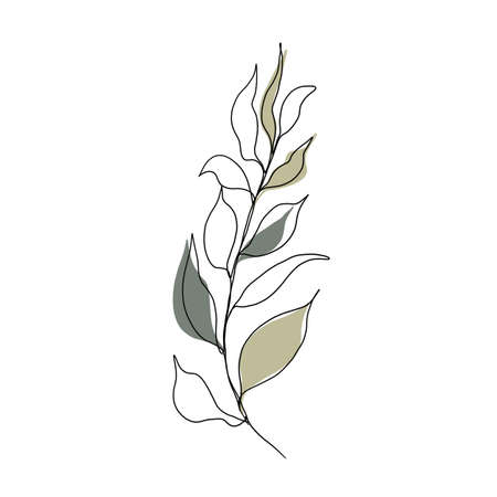 Minimalistic line drawing. leaf line art. Botanical drawing illustration by hand. beautiful idea for a postcard, a postcard. for home decor such as posters, wall artの写真素材