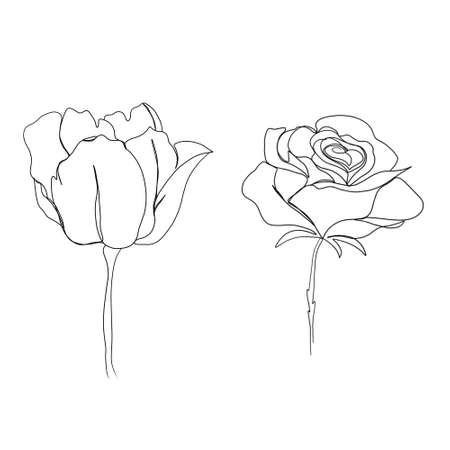 line art drawing of flowers. set line art flower tulip and rose. minimalism sketch, idea for invitation, design of stories and highlights iconsの写真素材
