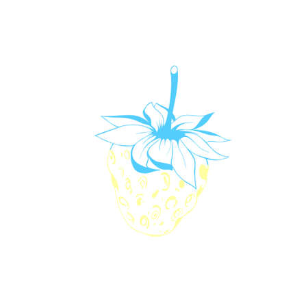 yellow-blue strawberry is the color of the flag of Ukraine. national symbol of ukraine. fruit strawberry sketch. stop war in ukrainの写真素材
