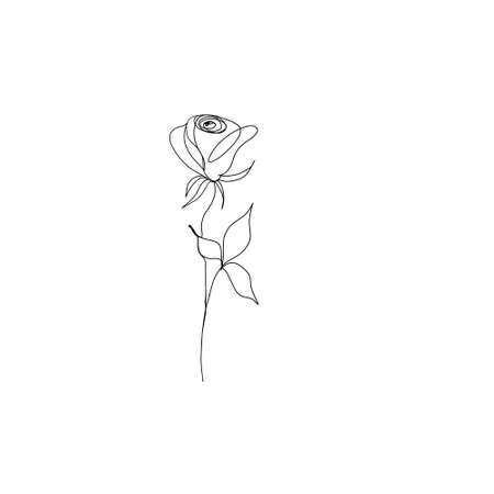 line art drawing of flowers. set line art set of flower a rose. minimalism sketch, idea for invitation, design of stories and highlights iconsの写真素材