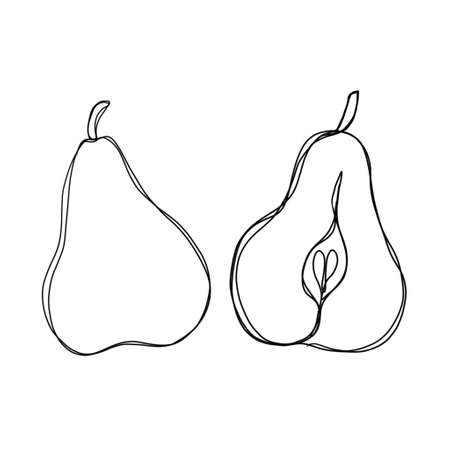 Pear fruit in continuous line art drawing style. Minimalist black line sketch on white background. whole pear and half pearの写真素材