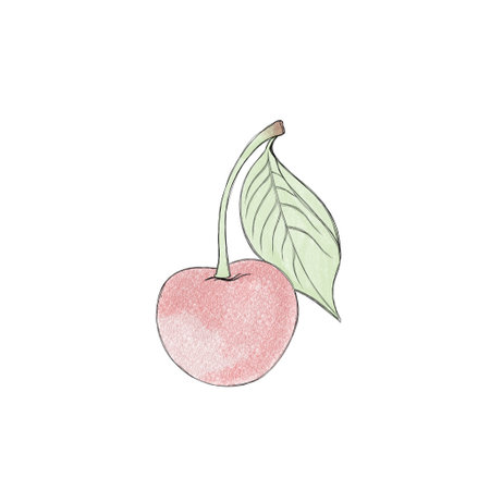 Juicy ripe cherries close-up watercolor drawing