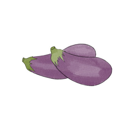 Set juicy ripe eggplants - hand drawn watercolor illustrationの写真素材