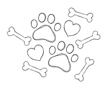 Dog footprints and a heart with a dog bone. Love for a pet. dog paw. Paw doodle illustrationの写真素材