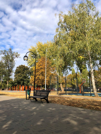 Autumn landscape in the park with benches and trees on a sunny dayの写真素材