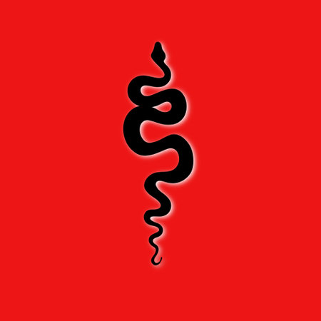 Tattoo snake on a red background. Traditional black dot style ink. Traditional Tattoo Old School Tattooing Style Ink. Snake silhouette illustration.の写真素材