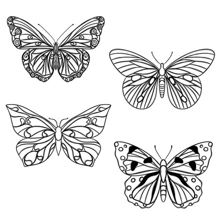 Line art butterfly, Layout for printing illustrations on T-shirts, notepads, coversの写真素材