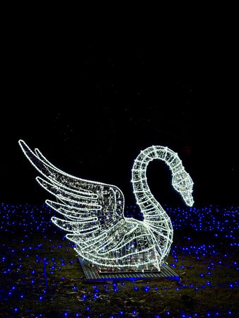 29.12.2025, Poland, Warsaw, Elegant white swan light sculpture made of LED garlands at Garden of Lights winter festival.のeditorial素材