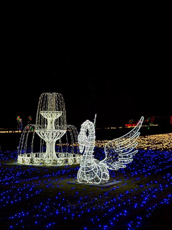29.12.2025, Poland, Warsaw, Illuminated swan and fountain sculptures made of LED lights at Garden of Lights winter festival.のeditorial素材