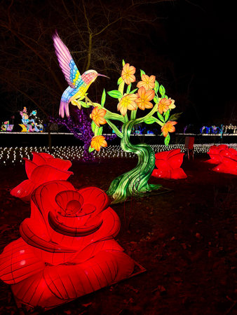 29.12.2025, Poland, Warsaw, Large illuminated hummingbird and red rose sculptures at the Royal Garden of Light winter exhibition in Wilanow.のeditorial素材