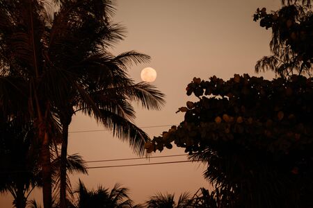 Full moon on the background of the sunset bright orange sky in Thailand.の写真素材