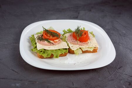 Two delicious sandwiches with salad leaf, tomato and cheese on the white plate. Grey textured background.の写真素材