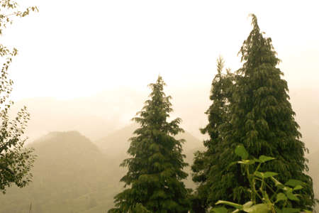 Foggy morning in the mountains of Yunnan, China.