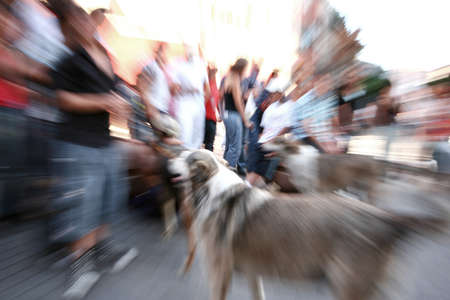 Crowd of people walking with dogs on the street. Motion blurの写真素材