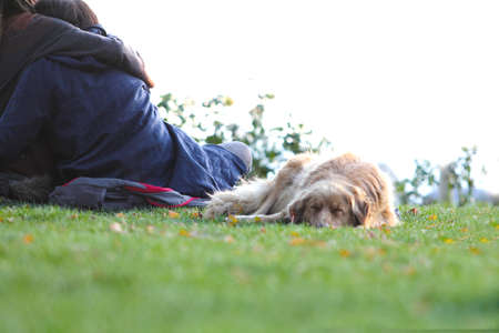A young woman is lying on the grass with her dog in the park.の写真素材