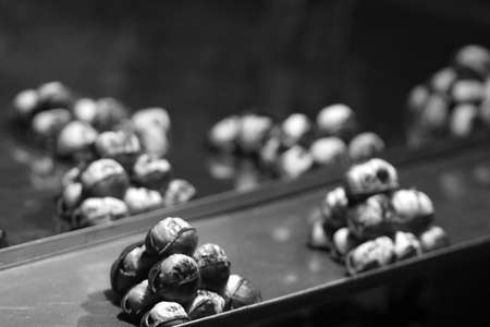 Black and white photo.の写真素材